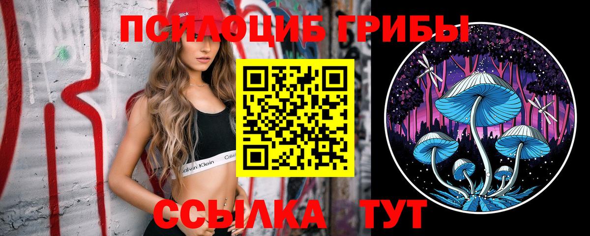 Галлюциногенные грибы Psilocybine cubensis  Вход с VPN  Псилоцибиновые грибы GOLDEN TEACHER  как найти закладки  Киров 
